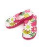 Flip-Flops