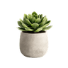 Artificial Plants