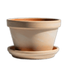 Plant Pots & Stands