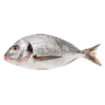 Poisson