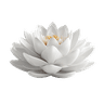 Ayurveda Supplements