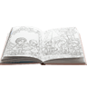 Books & Coloring Pages